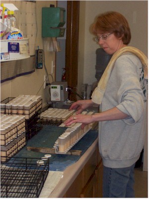 Milk sample testing