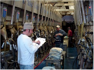 Milk Testing in Parlor