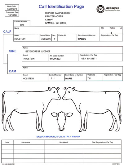 calfidentificationpage1sm.jpg